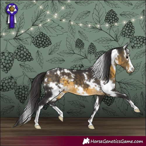 Horse Color:White Spotted Buckskin 