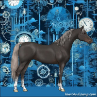 Horse Color:Silver Black Sabino 