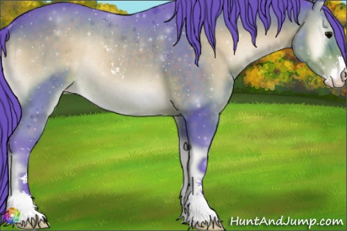 Horse Color:Watercolor Brown Onyx Sabino Appaloosa Rabicano 