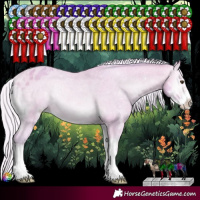 Horse Color:Watercolor Silver Amber Champagne Onyx Sabino Varnish Rabicano