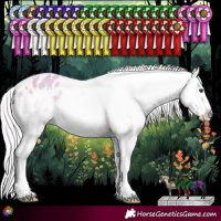 Horse Color:Watercolor Silver Amber Champagne Onyx Sabino Appaloosa Rabicano 