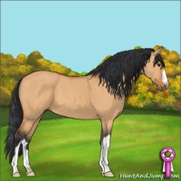 Horse Color:Bay Dun