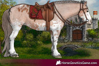 Horse Color:White Spotted Bay Varnish 