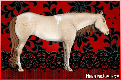 Horse Color:Buckskin Pearl Dun Tobiano Rabicano Brindle