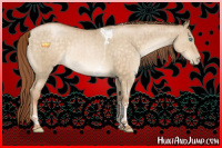 Horse Color:Buckskin Pearl Dun Tobiano Rabicano Brindle