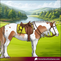 Horse Color:Chestnut Splash Tobiano