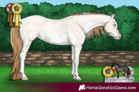 Horse Color:White Spotted Buckskin Pearl Dun Sabino