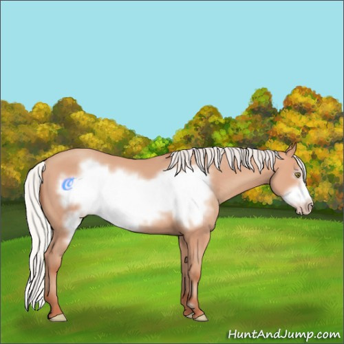 Horse Color:Silver Amber Champagne Frame 
