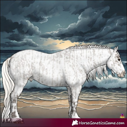 Horse Color:Silver Grullo Roan  and Silver Grullo Roan Blanket 