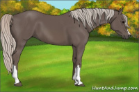 Horse Color:Silver Black 