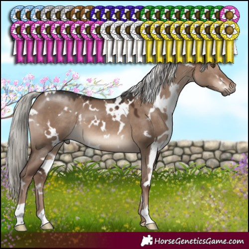 Horse Color:White Spotted Liver Red Dun Mushroom 