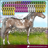 Horse Color:White Spotted Liver Red Dun Mushroom