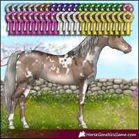 Horse Color:White Spotted Liver Red Dun Mushroom 