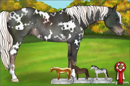 Horse Color:White Spotted Liver Chestnut Mushroom Rabicano 