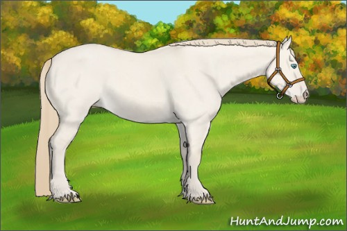 Horse Color:Smoky Creme Roan Dun 