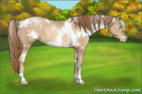 Horse Color:White Spotted Smoky Black Pearl 