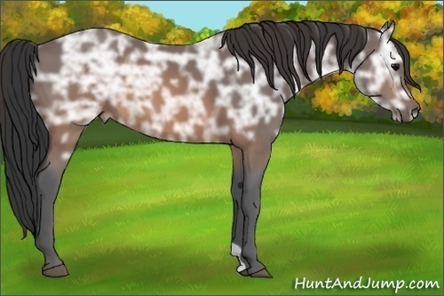 Horse Color:Brown Ice 
