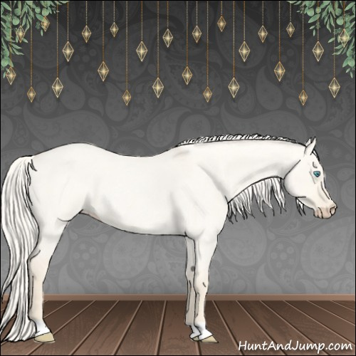 Horse Color:Cremello Roan Dun 