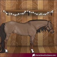Horse Color:Liver Red Dun Rabicano 