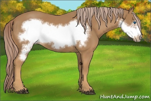Horse Color:Palomino Frame