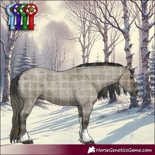 Horse Color:Plaid Grullo Roan Mushroom Tobiano