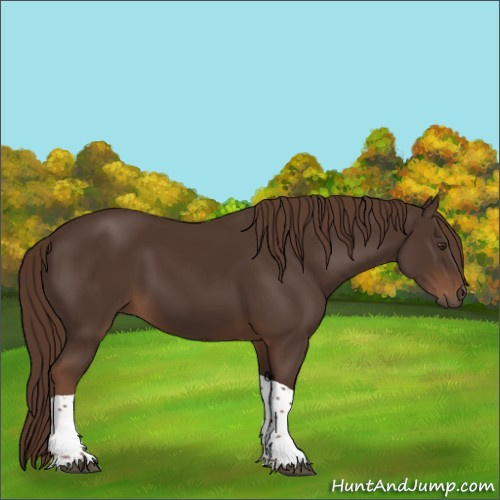 Horse Color:Liver Chestnut Tobiano 