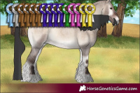 Horse Color:Brown Roan Onyx Mushroom Sabino