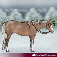 Horse Color:White Spotted Silver Brown Dun Tobiano 