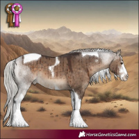 Horse Color:Silver Brown Dun Sabino Tobiano Brindle 