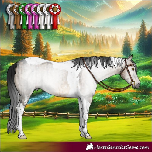 Horse Color:Gray Brown Dun Sabino Tobiano Brindle