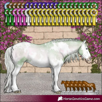 Horse Color:Watercolor White Spotted Silver Blue Onyx Chinchilla Splash