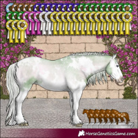 Horse Color:Watercolor White Spotted Silver Blue Onyx Chinchilla Splash