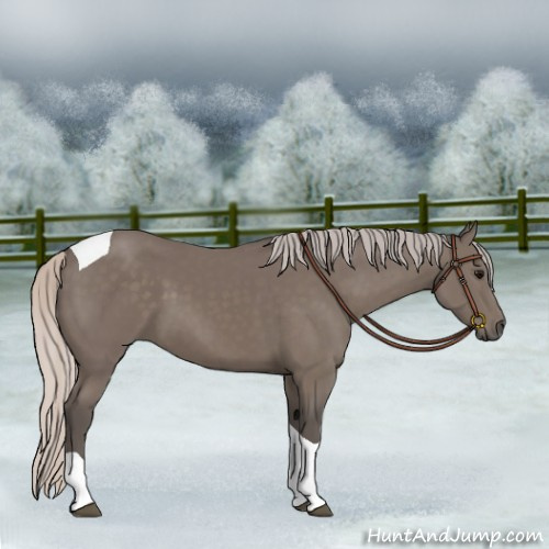 Horse Color:Silver Black Tobiano 