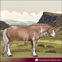 Horse Color:White Spotted Silver Black Pearl Tobiano
