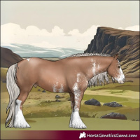 Horse Color:White Spotted Silver Black Pearl Tobiano 