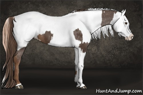 Horse Color:Liver Chestnut Sabino Splash Blanket  and Gold Champagne Sabino Splash Blanket 