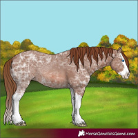 Horse Color:Chestnut Ice Splash
