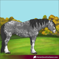 Horse Color:Black Ice 