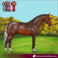 Horse Color:Silver Brown 