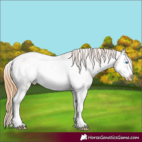 Horse Color:Red Ice Roan Sabino Splash Frame Varnish 