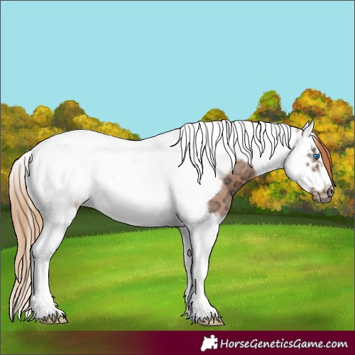 Horse Color:Chestnut Ice Splash Tobiano Frame 
