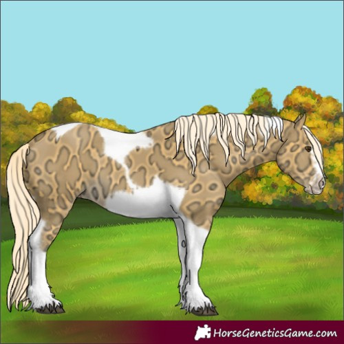Horse Color:Palomino Ice Tobiano Frame 