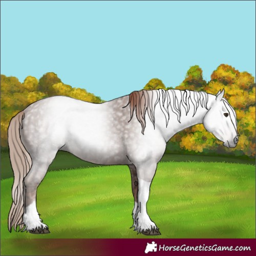 Horse Color:Gray Chestnut Ice Tobiano 