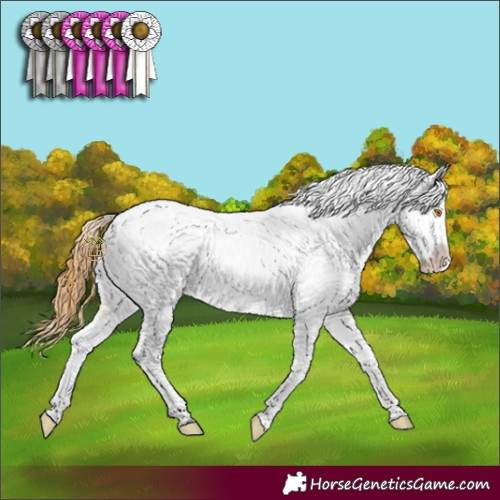 Horse Color:Buckskin Dun Near Leopard