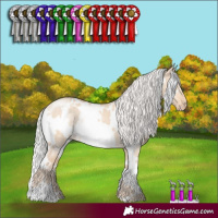 Horse Color:White Spotted Silver Perlino Dun 