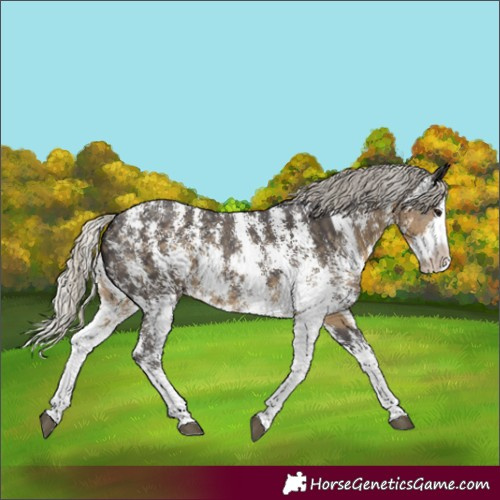 Horse Color:Silver Smoky Black Sabino Splash 