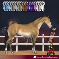 Horse Color:Gray Sable Cream Champagne Dun Sabino Tobiano