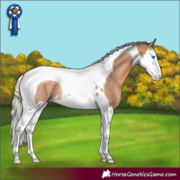 Horse Color:White Spotted Silver Brown Dun Splash Tobiano Rabicano 