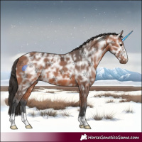 Horse Color:Bay Ice 