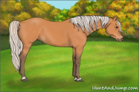 Horse Color:Silver Bay